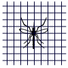 Insektenschutz