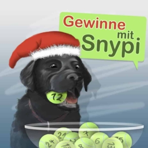 Rouven Rieper berichtet über Motivation, Idee und Durchführung des Adventskalender Gewinnspiels von Rollo Rieper