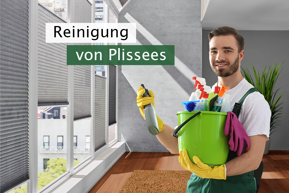 Plissees Reinigen Fliegendreck